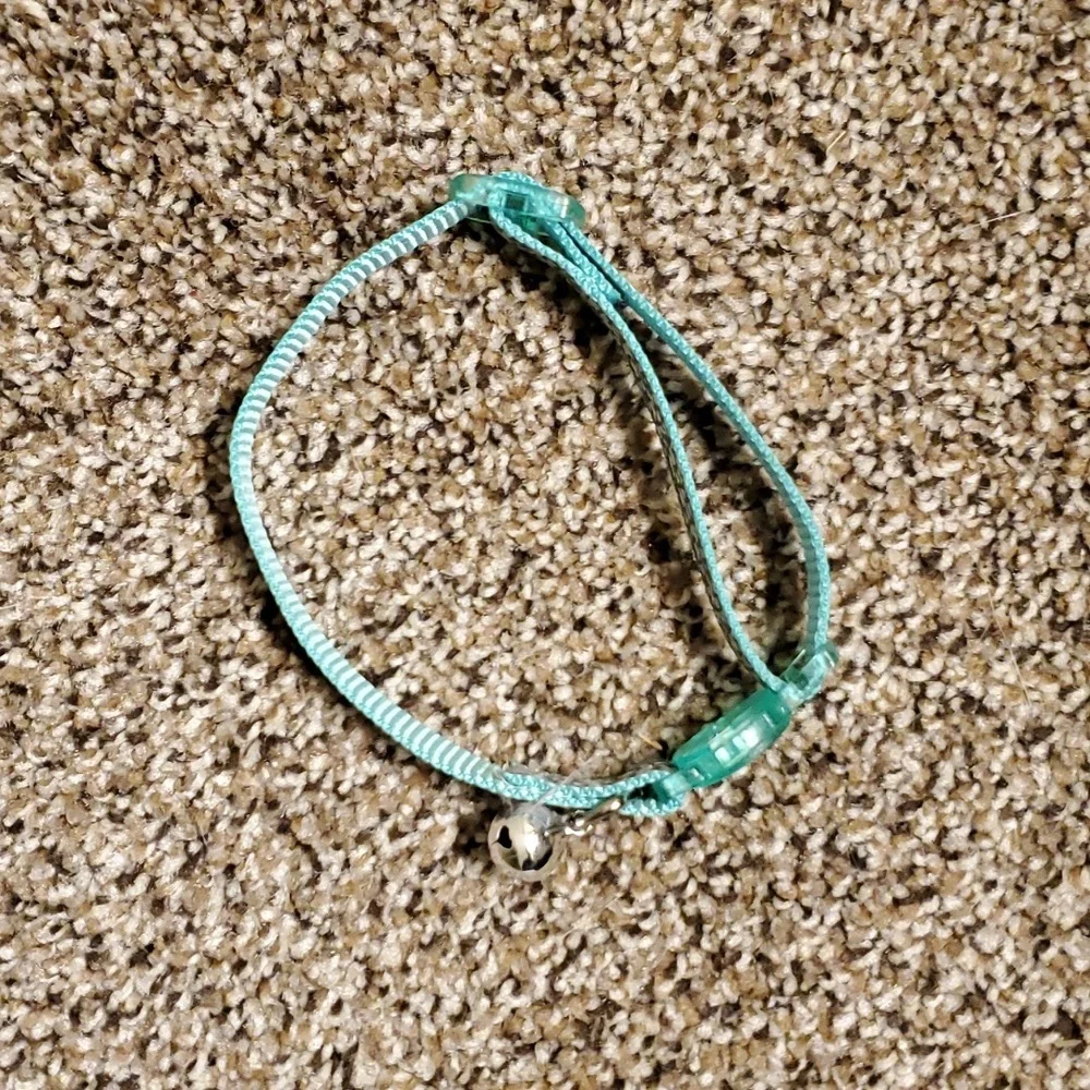 New cat collar